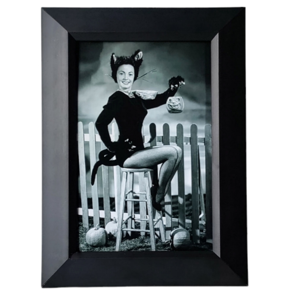 Beautiful woman girl in cat Halloween costume vintage retro pin-up '60s fifties